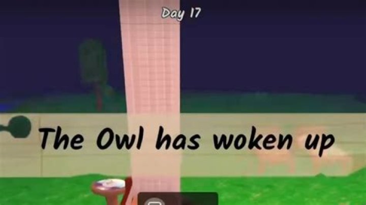 What is the longest coma someone has woken up from?