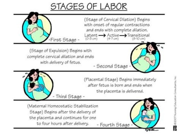 What is the longest labor?