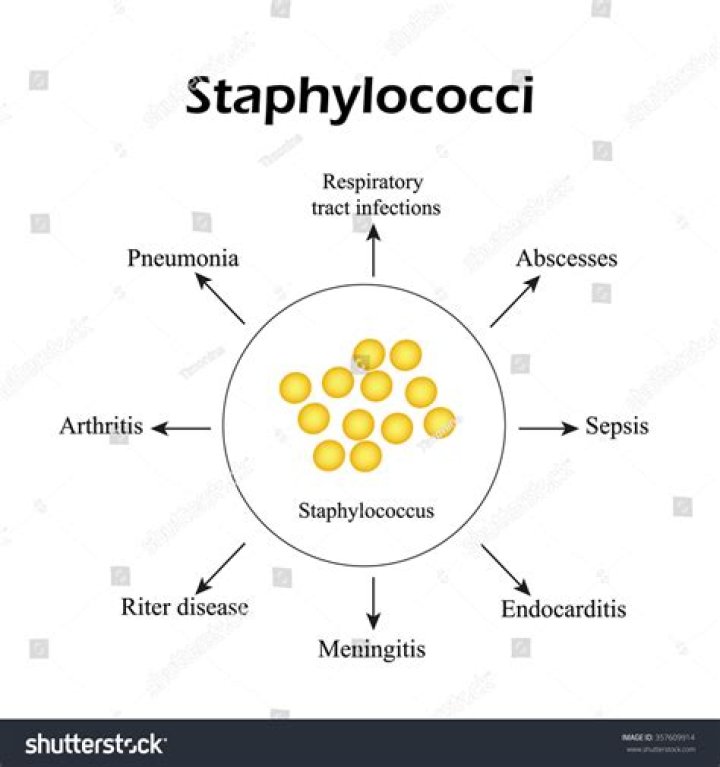 What is the main cause of Staphylococcus aureus?