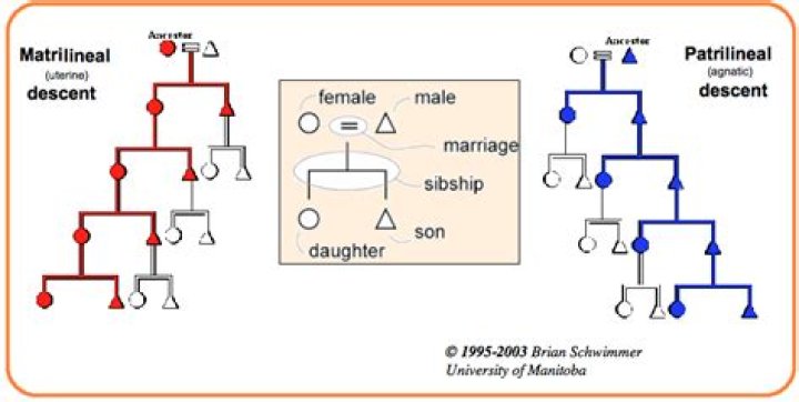 What is the matriarchal system of inheritance?