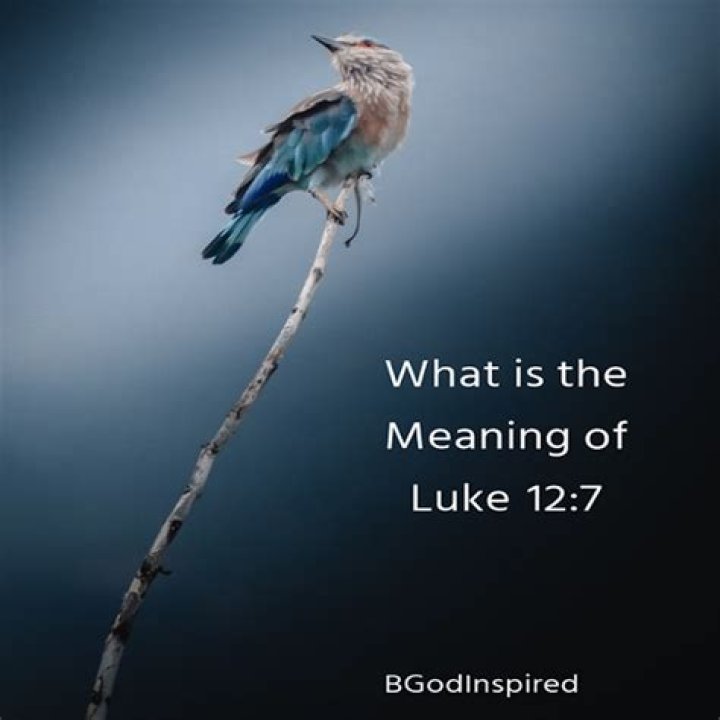 What is the meaning of Luke 23?