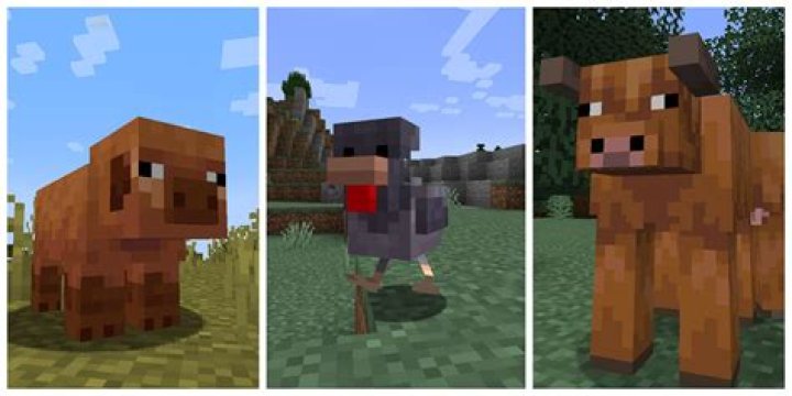 What is the most helpful animal in Minecraft?