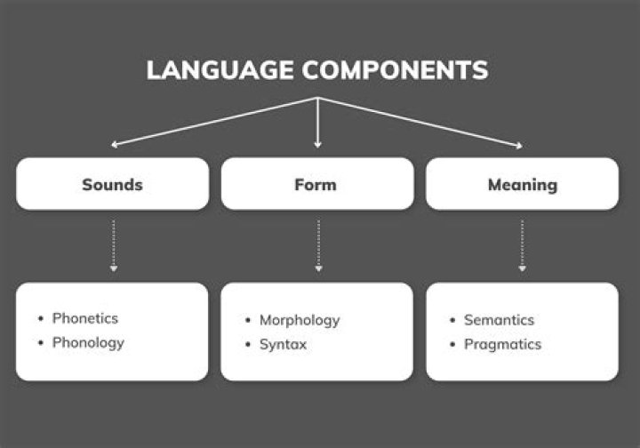What is the most important component of language learning?