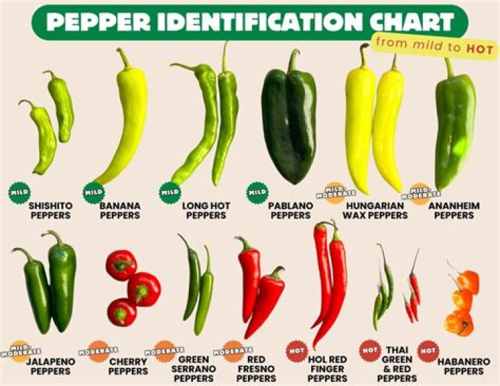 What is the most popular pepper in Mexico?