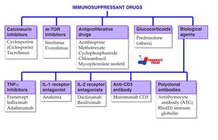 What is the new drug for osteoarthritis?