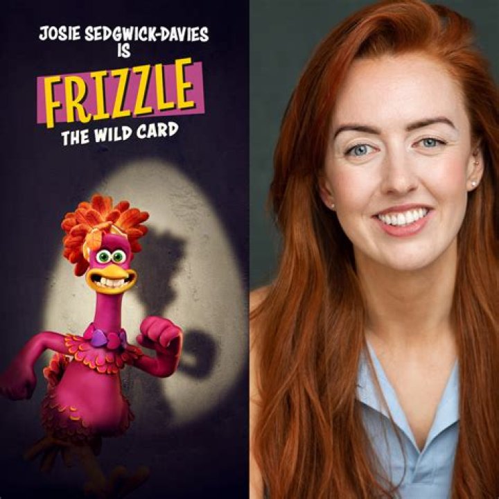 What is the purpose of a chicken run?