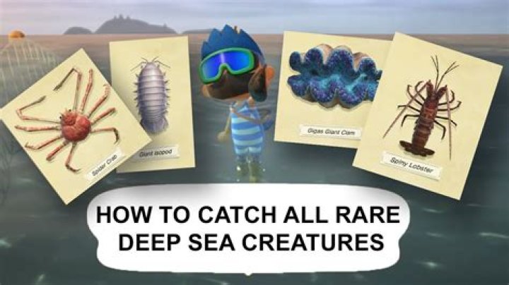 What is the rarest sea creature in Animal Crossing?