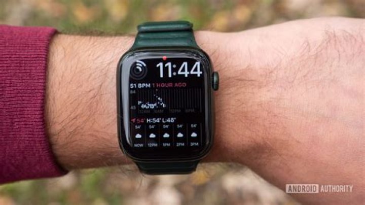 What is the red dot on my Apple Watch?