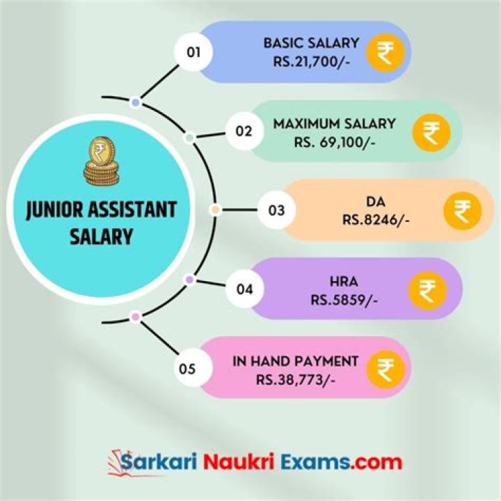 What is the salary of Ambani driver?