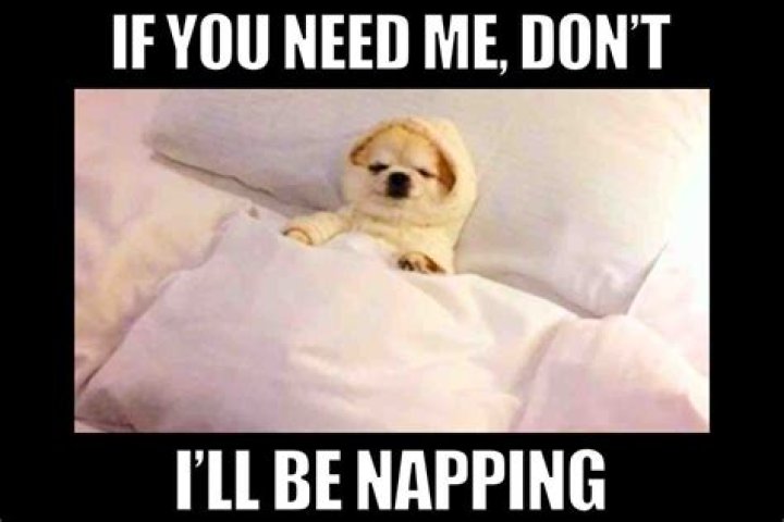 What is the shortest nap you can take?