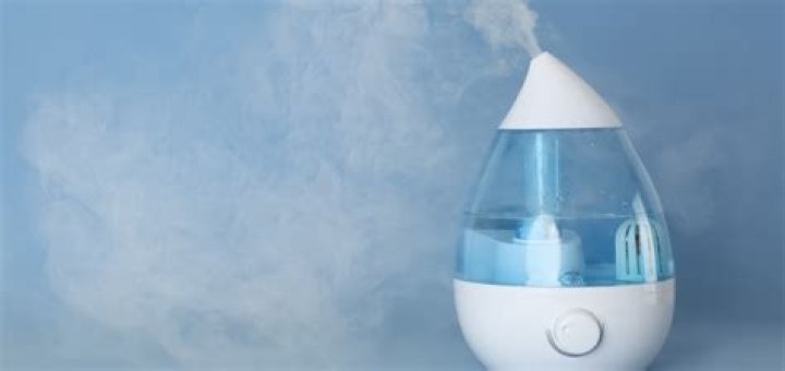 What is the slime in my humidifier?