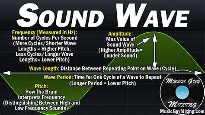 What is the sound of the ocean called?
