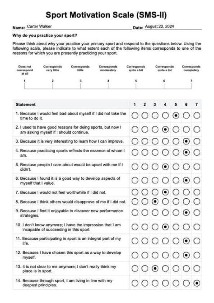 What is the sport emotion questionnaire?