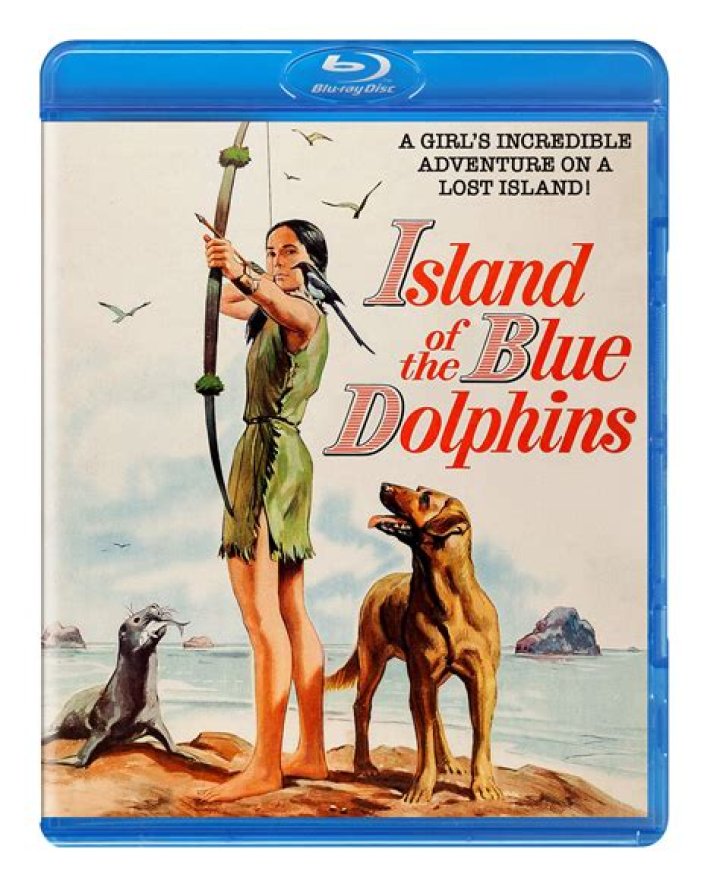 What is the theme of Island of the Blue Dolphins?
