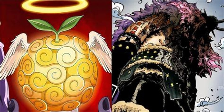 What is the white Devil Fruit?