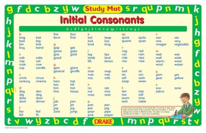 What kind of consonants are t and D?