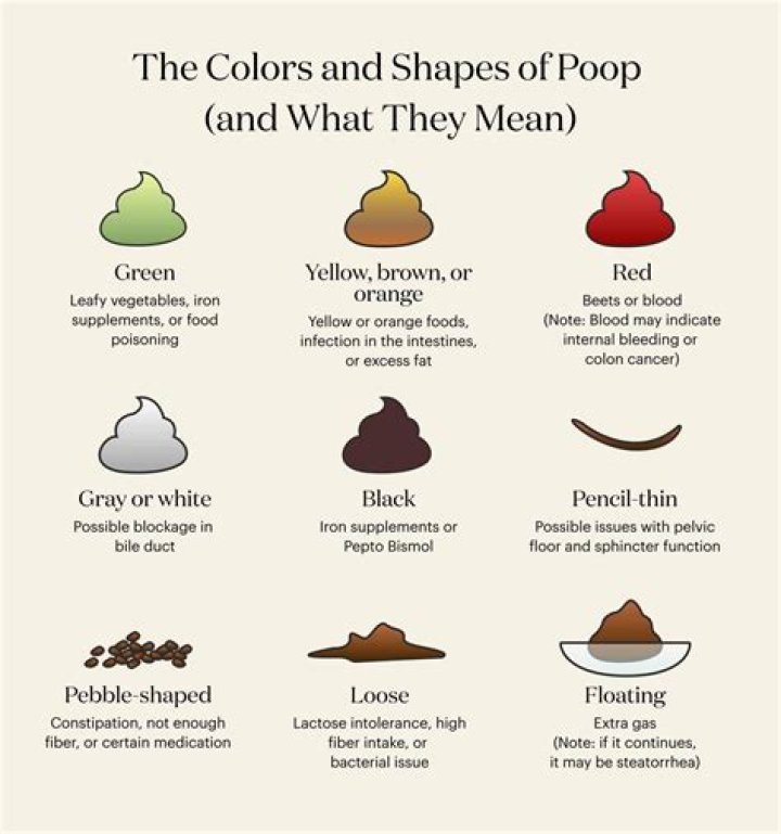 What kind of poop is black with a white tip?