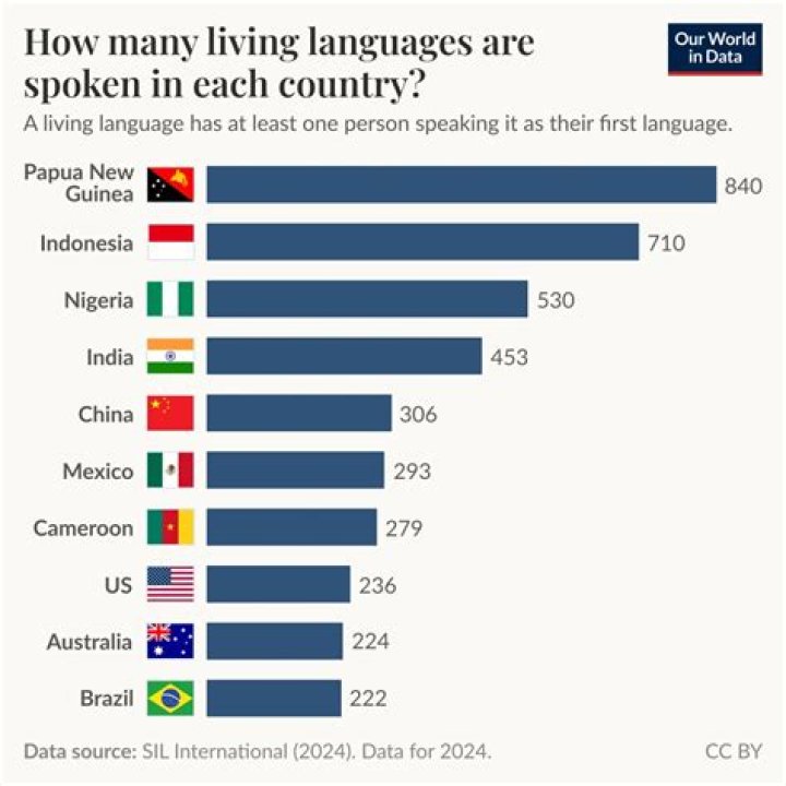 What languages does English borrow from?