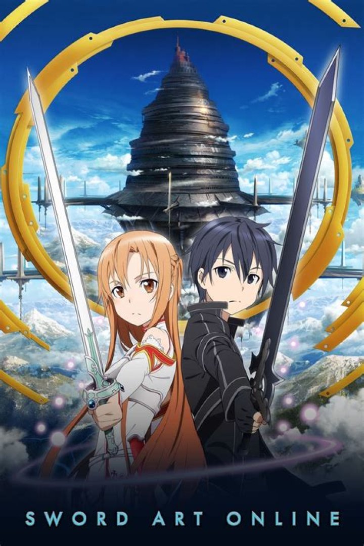 What level did Kirito reach in Sao?