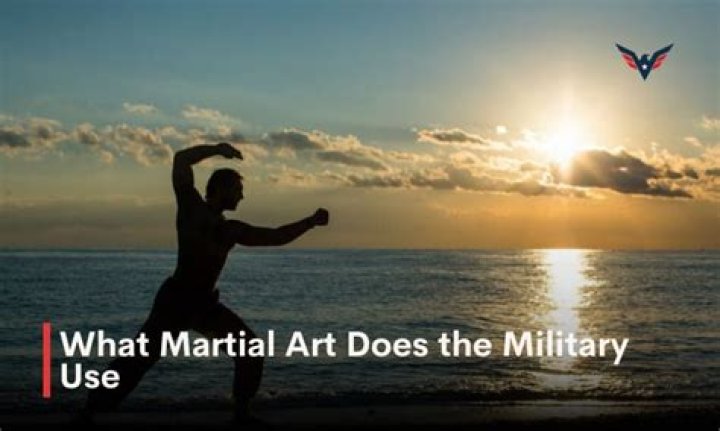 What martial art does Navy SEALs use?