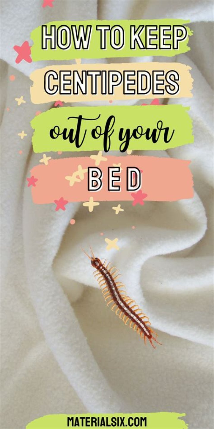 What month do centipedes come out?