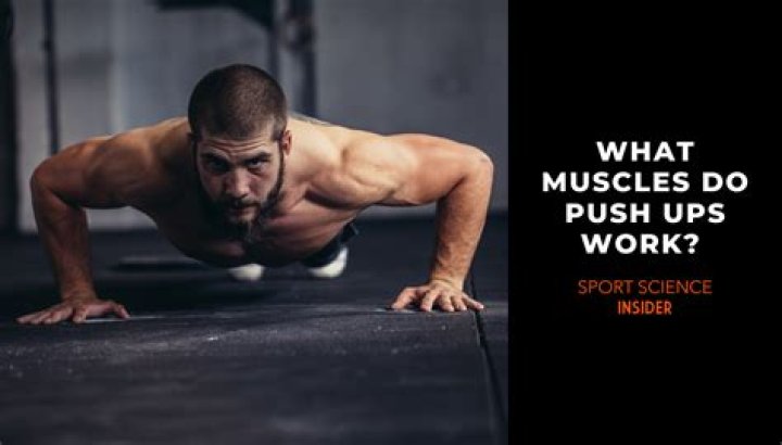 What muscles do lady push-ups work?