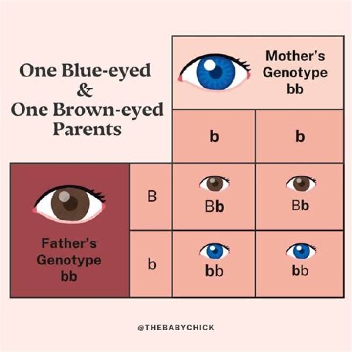 What must be true for two brown-eyed parents to produce a blue-eyed child?