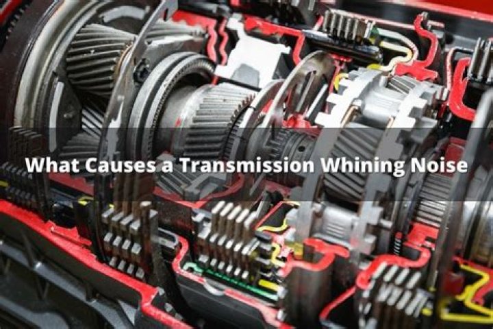 What noise does a loose fan belt make?