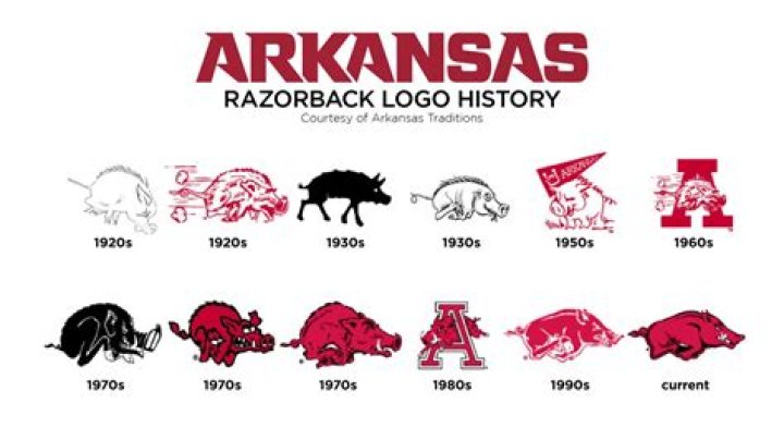 What percent of Arkansas is Black?
