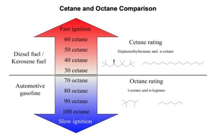 What race is octane?