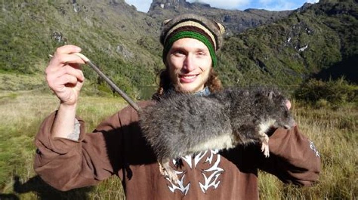 What rats live the longest?