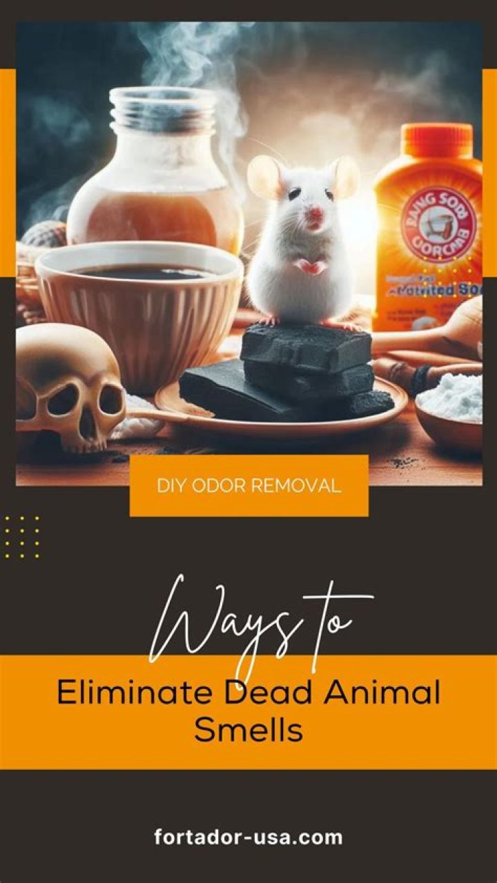 What smells do mice not like?