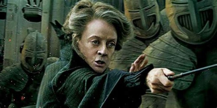 What spell did McGonagall use to protect Hogwarts?