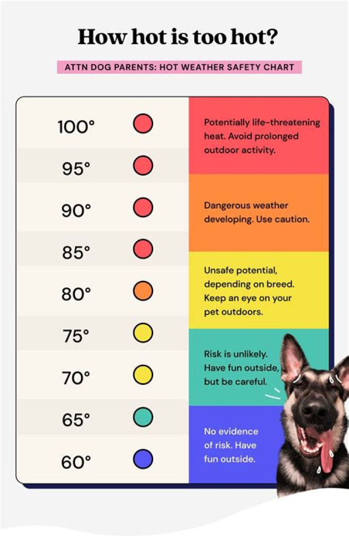 What temperature is too hot for the elderly?