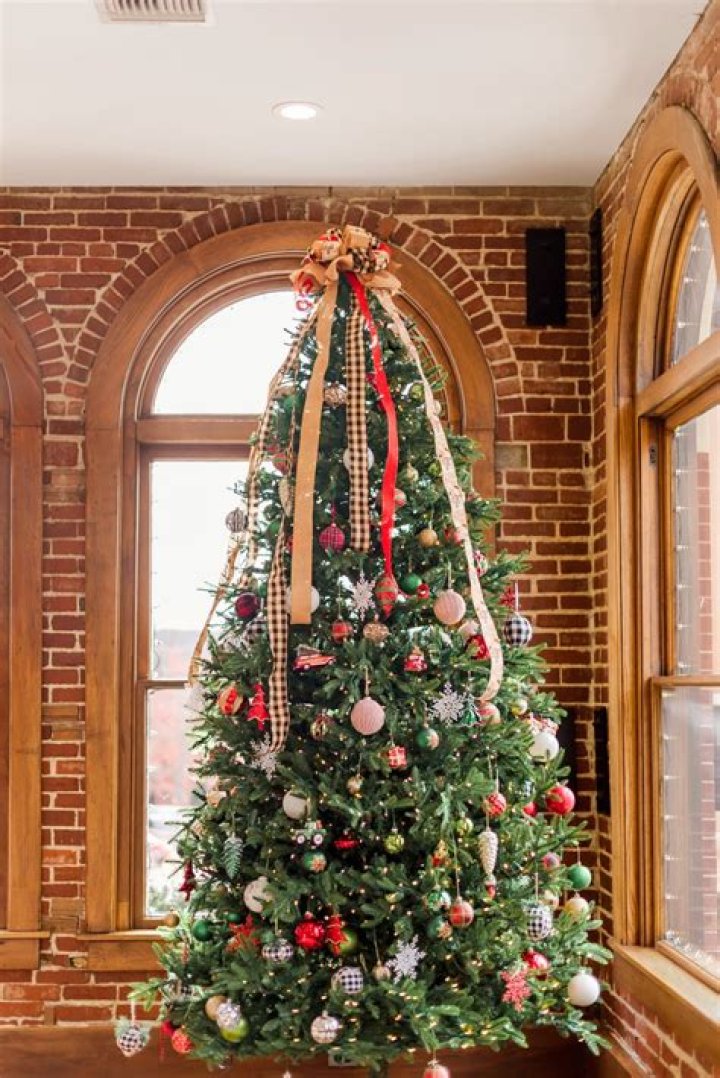 What temperature water do you put in a Christmas tree?