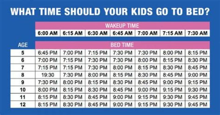 What time should a dog go to bed at night?