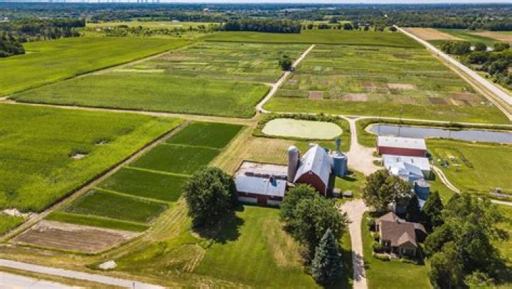 What to say to land a job?