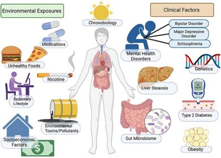 What toxins cause mental illness?