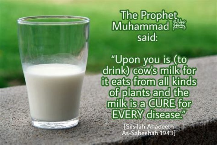 What type of milk did the Prophet drink?