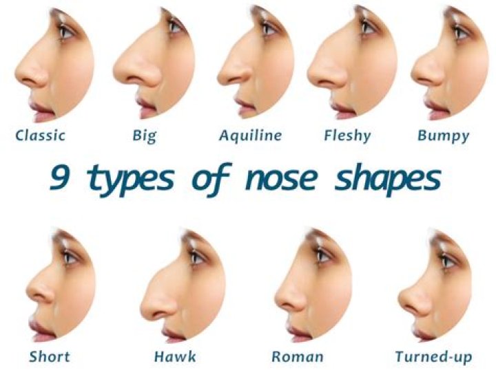 What type of nose does Korean have?