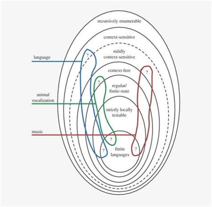 What was Chomsky theory of language?