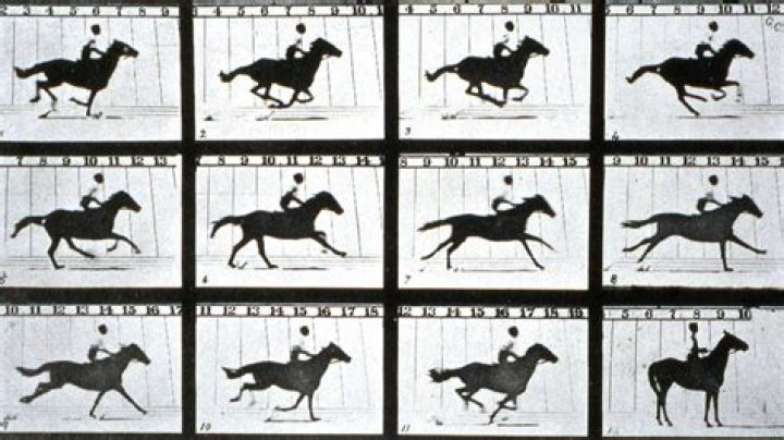 What was the first moving picture?