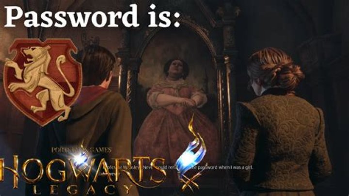 What was the Gryffindor password in Goblet of fire?