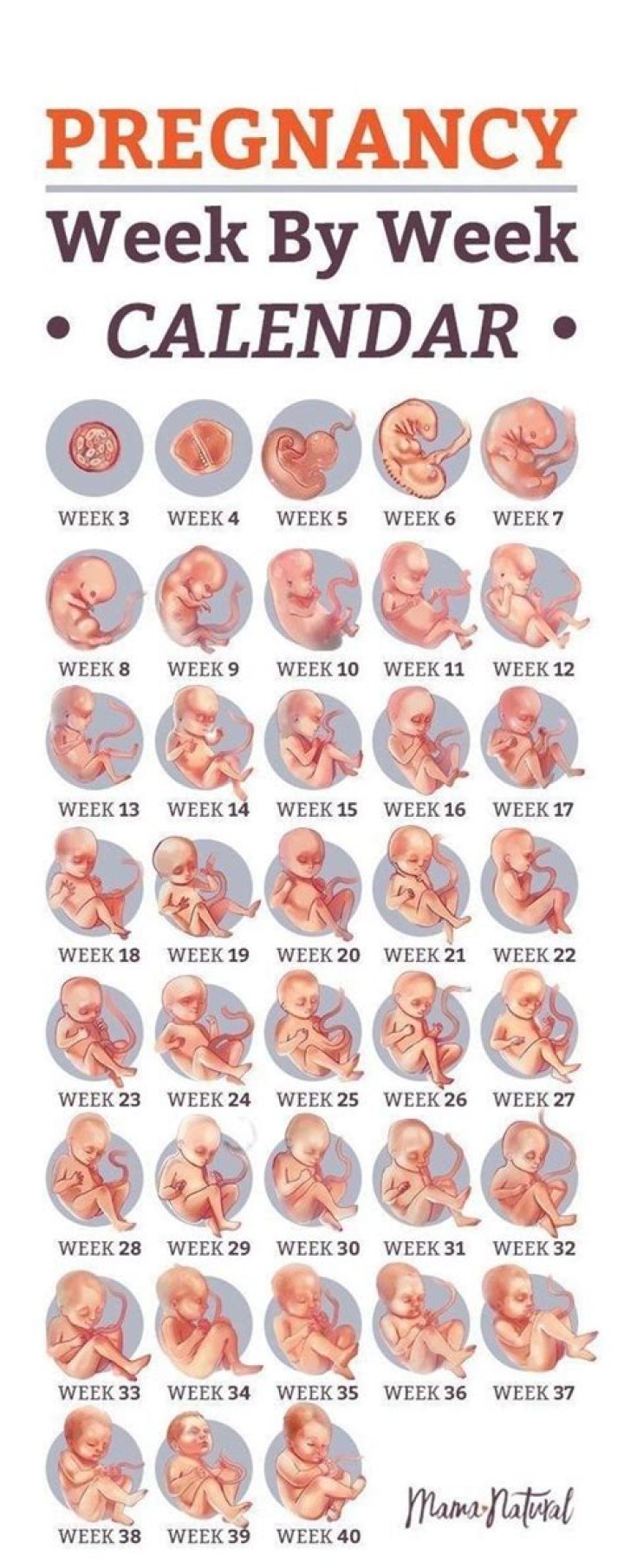 What week can baby feel you rub belly?