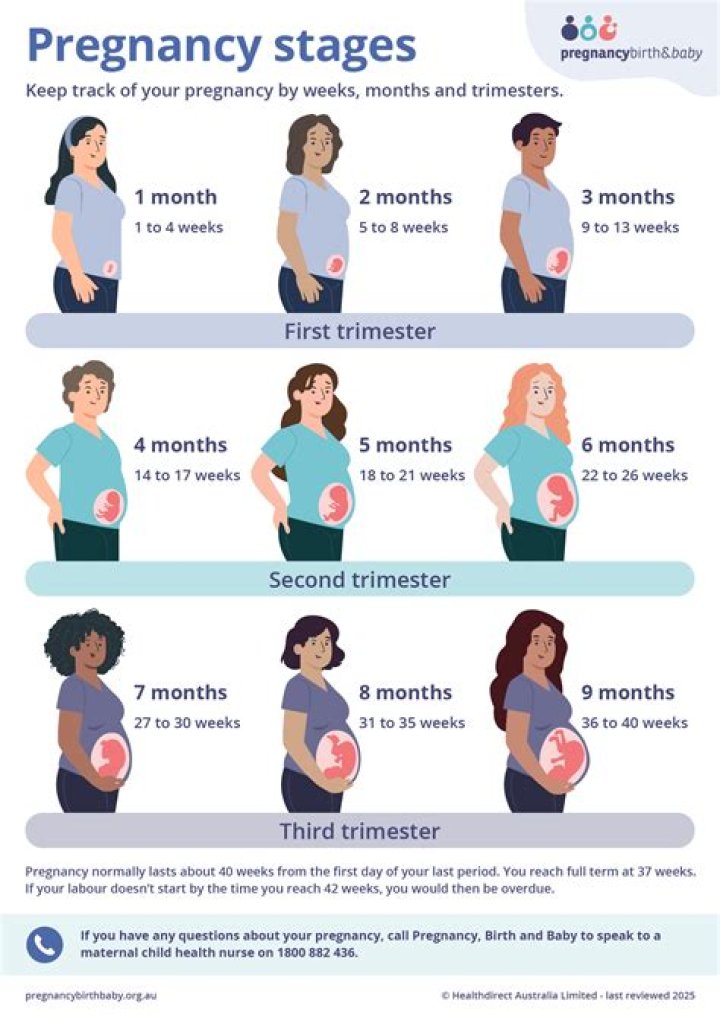 What week does 4 months start in pregnancy?