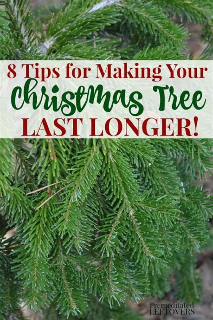 What will make a Christmas tree last longer?