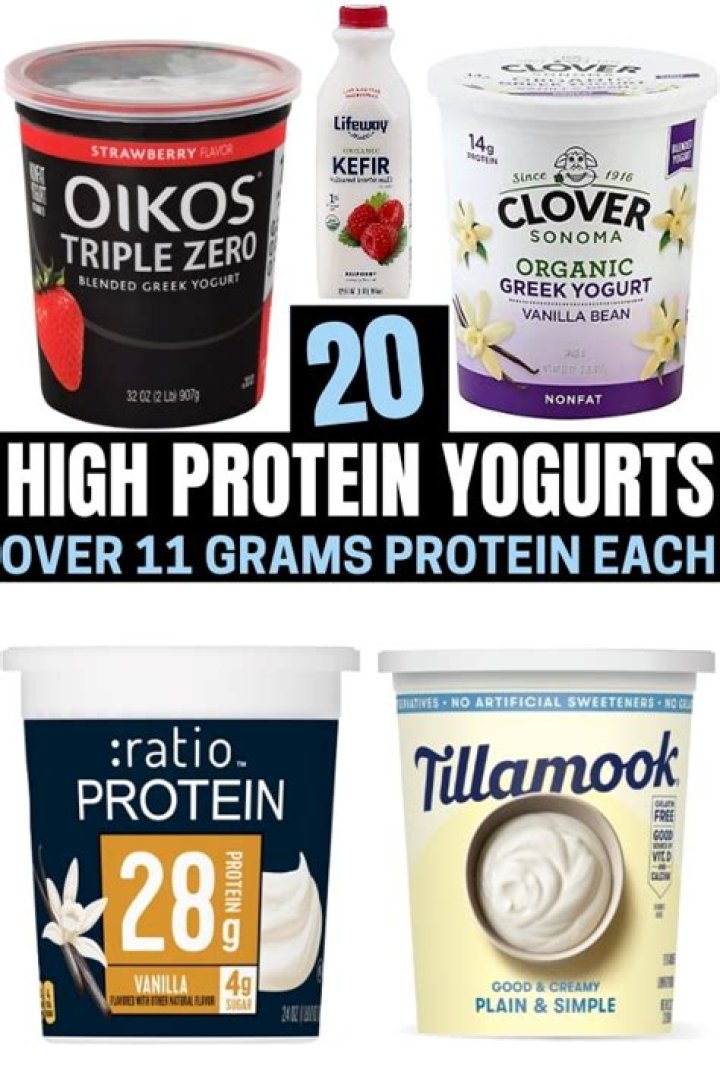 What yogurt has high protein?