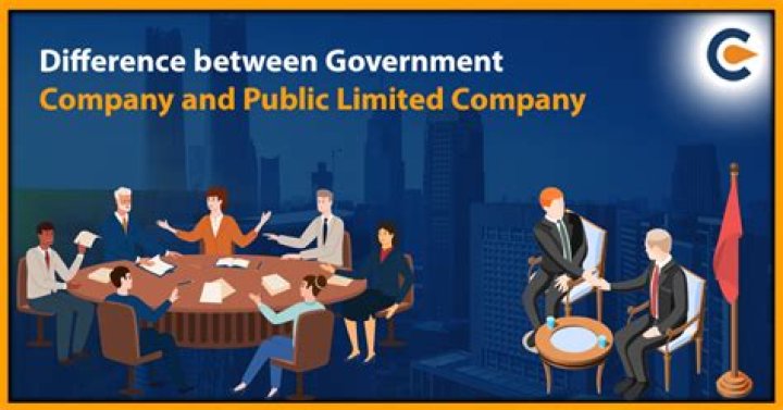 What's a government company?