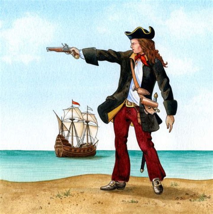 What's a lady pirate called?