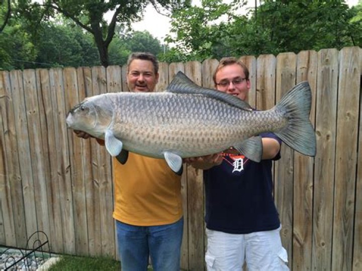 What's the biggest fish in Lake Michigan?